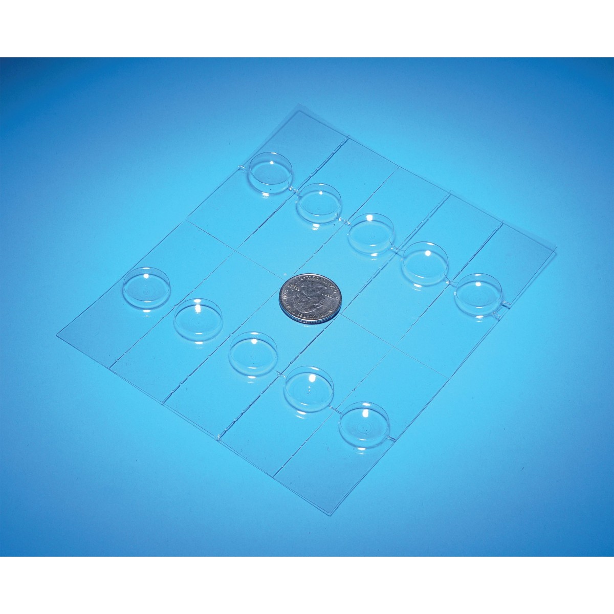 Plastic Well Slides Slide Making Slides Microscopy