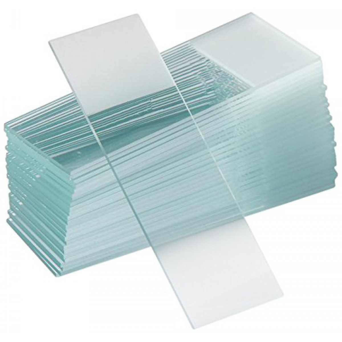 Glass Microscope Slide