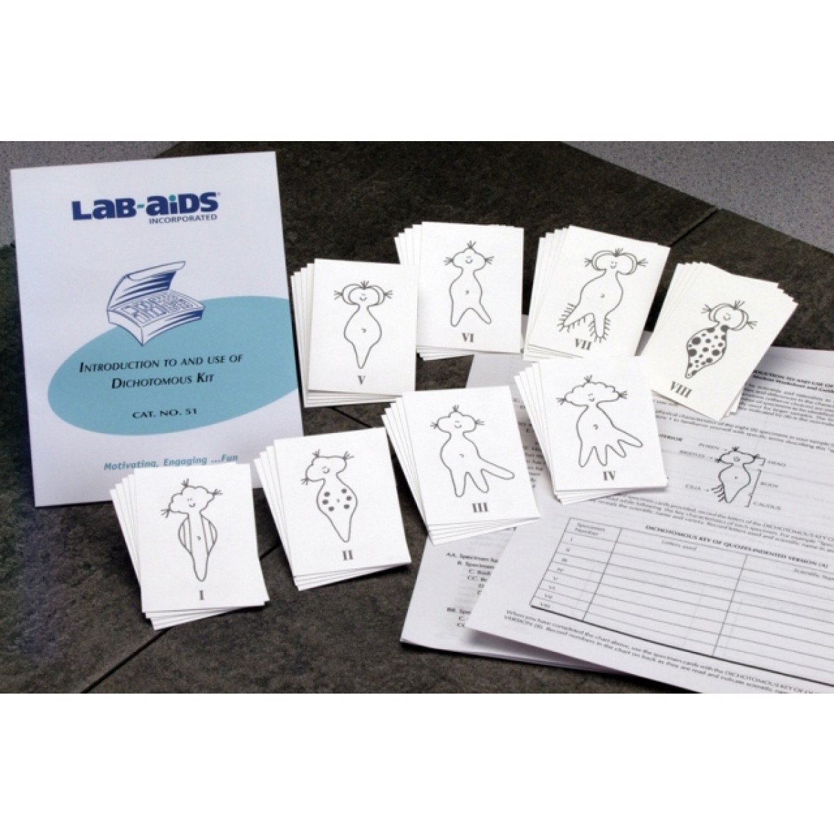 Introduction and Use of Dichotomous Keys General Chemistry Chemistry