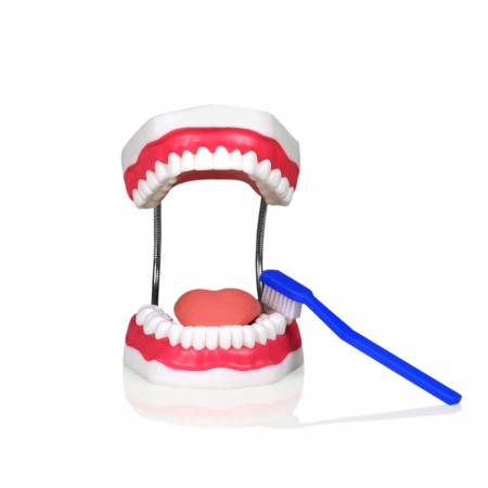 Teeth Hygiene Set With Tongue and Toothbrush 