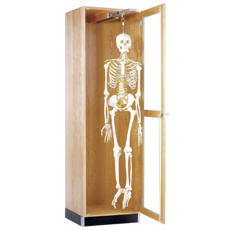 Hanging Skeleton Cabinet