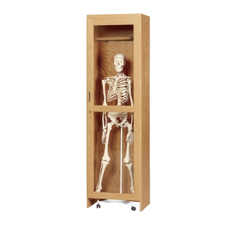 Skeleton Cabinet for Roll In Model