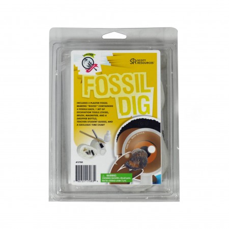 Fossil Dig 