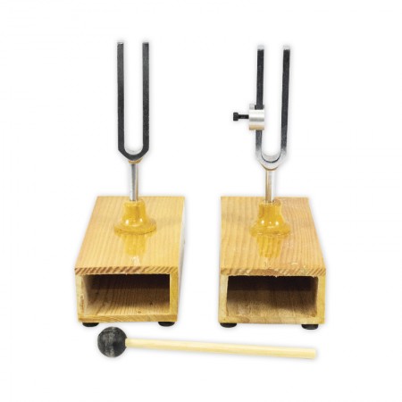 Sympathetic Differential Tuning Fork Set