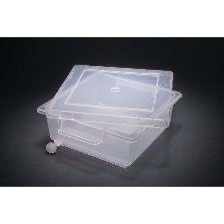 Gel Staining Tray