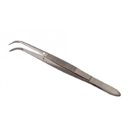 Dissecting Forceps, Stainless Steel, Fine Points, 4.5" Curved