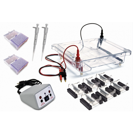 Walter Electrophoresis Classroom Kit