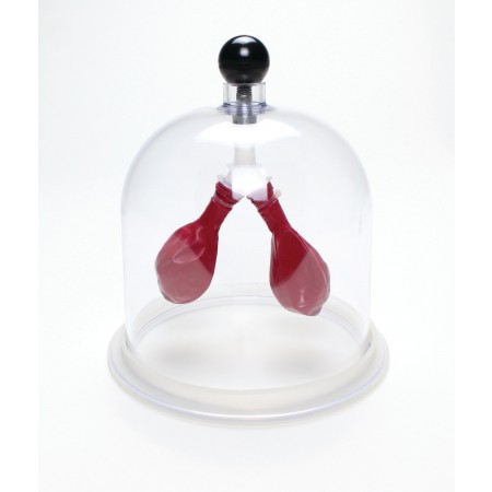 Lung Apparatus