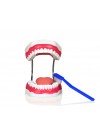 Teeth Hygiene Set With Tongue and Toothbrush 