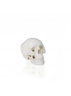 Walter Mini Skull