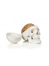 Walter Human Skull w/Brain
