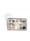 Sedimentary Rock Collection