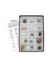 Natural Crystal Collection