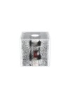 Acrylic Cube with Magnet and Iron Filings