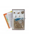 Fossil Hunt Kit