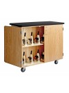 Mobile Microscope Storage Cabinet