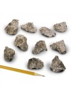 Anorthosite, Gray, Coarse-Grained