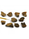 Limonite, Brown, Massive