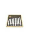 Concert Pitch Tuning Fork Set