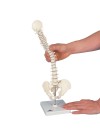 3B Mini Spinal Column, Flexibly Mounted