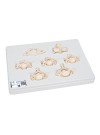 3B BONElike Human Cervical Vertebrae Set
