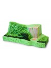 Leaf Structure Model