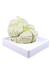 Walter Life Size Brain Model - 3 Parts