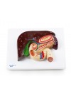 Walter Liver & Gall Bladder Relief Model
