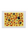 Walter Blood Cell Model