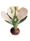 Denoyer Giant Dicot Flower