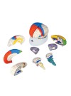 3B Neuro-Anatomical Brain, Life-Size - 8 Parts