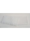 Plastic Well Plates