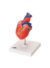 3B Classic Heart - 2 Parts