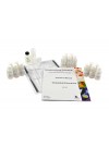 Chemiluminescence 