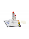 Chromatography of Plant Pigments