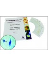 NYS Intermediate Learning Science: Cells - It's Alive! A Guided Inquiry