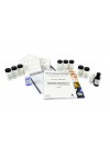 Forensic Chemistry of Unknown Substances