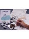Basic Owl Pellet Study