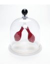 Lung Apparatus