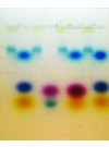 Analysis of Photosynthetic Pigments Kit