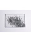 Student Magnetic Field Demonstrator