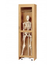 Skeleton Cabinet for Roll In Model 