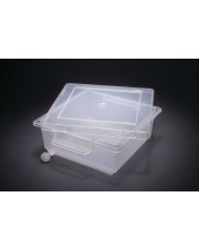 Gel Staining Tray 