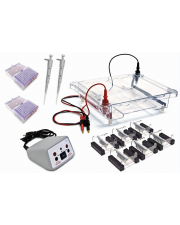 Walter Electrophoresis Classroom Kit 