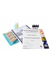 Simulated ABO Blood Typing Kit 