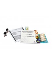 Genetics of Blood Types Kit 