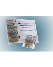 Endothermic Reactions Demo Kit 