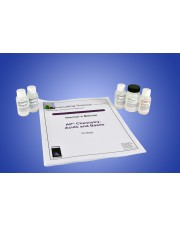 Acids and Bases AP Chemistry Kit 