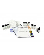 Forensic Chemistry of Unknown Substances 