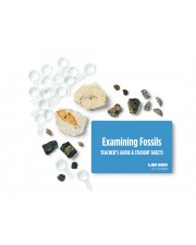 Examining Fossils 